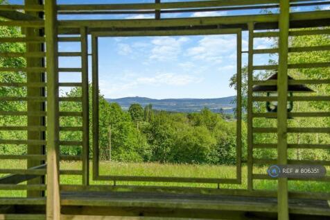 View From The Garden