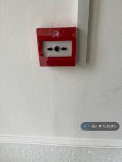 Call Point - One Of 4
