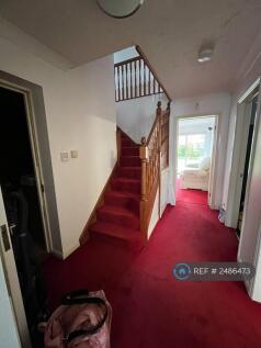 Hallway And Stairs