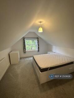 Room 6