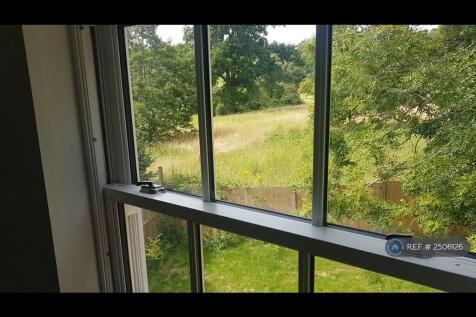 View From Room 6