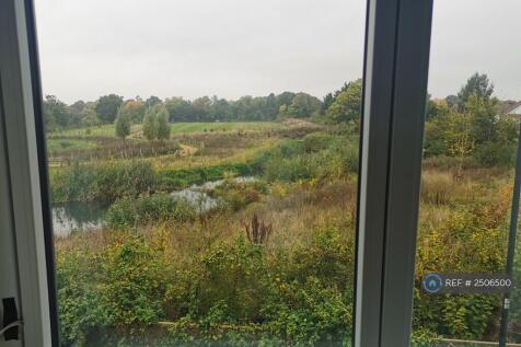 Actual View From Master Bedroom