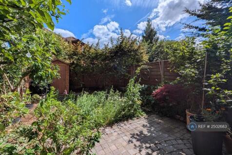 South-Facing Garden