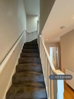 Carpeted Stairs