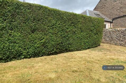 Garden View 1