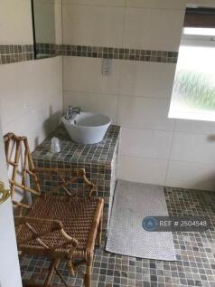 Shower Bathroom 1