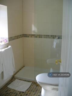 Shower Bathroom 2