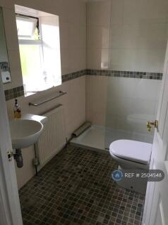 Shower Bathroom 2