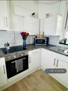 Newly Renovated Kitchen 
