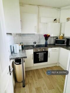 Newly Renovated Kitchen 