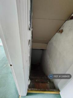 Cellar Underneath