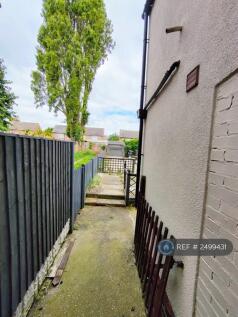 Back Garden