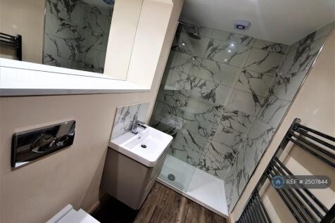 Bathroom/ Large Walk-In Shower