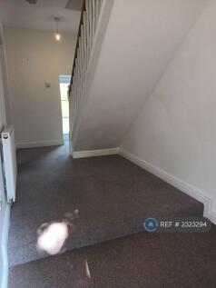 Downstairs Hallway