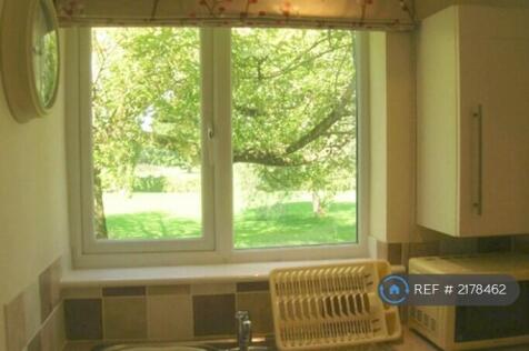 Kitchen View