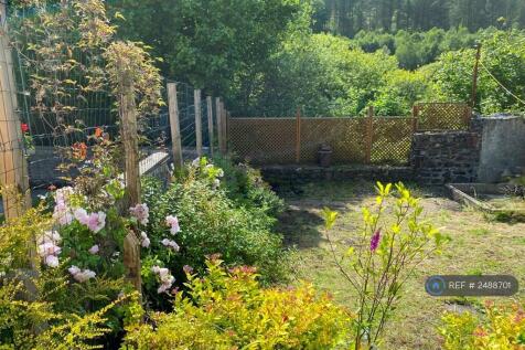 South Facing Garden