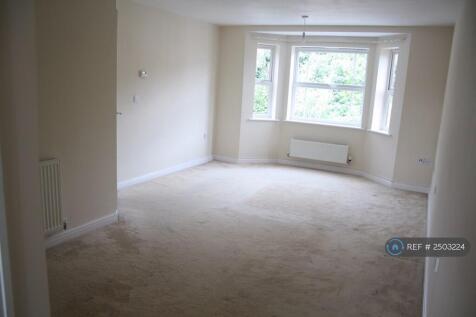 Lounge / Dinning Room