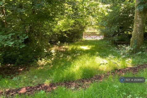 Woodland Towards Lane.