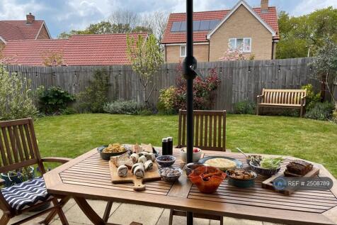 Patio And Garden