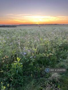 Fields Outside Home