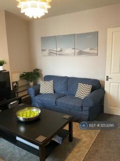 The Shared Living Room
