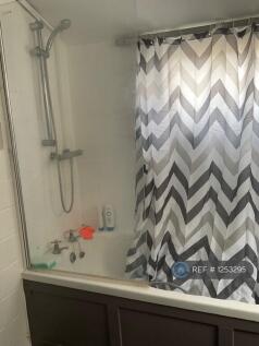 The Shared Bathroom 