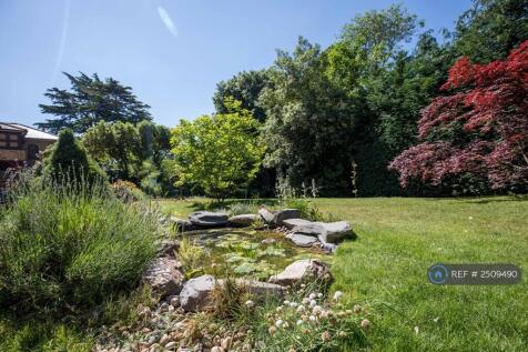 Communal Garden 2