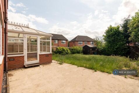 Back Garden