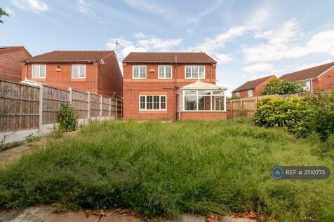 Back Garden