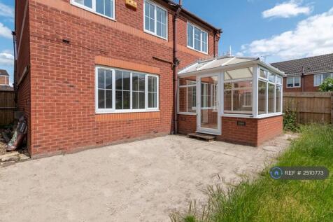 Back Garden