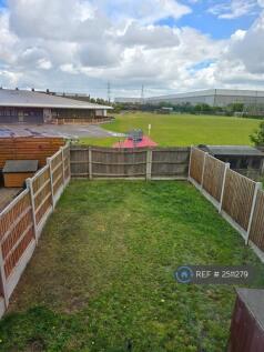 Garden At The Back Of The House