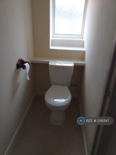 Separate Toilet