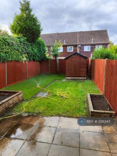 Back Garden