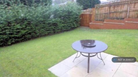 Lower Tier Of Garden