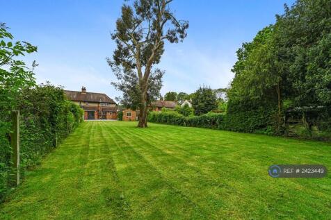 Back Garden 