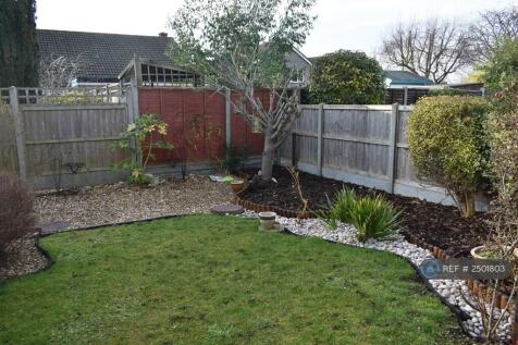 Back Garden