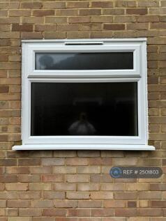 New Bathroom Window