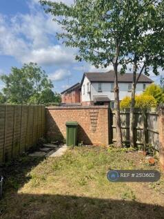 Sunny Rear Garden