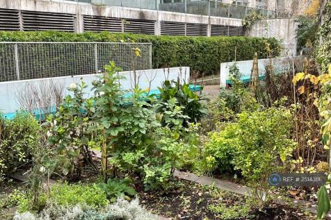 Great Vegetable/Fruit Patch 
