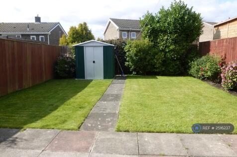Back Garden