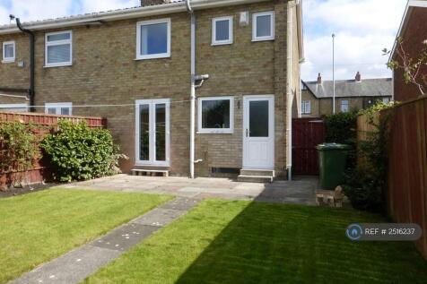 Back Garden