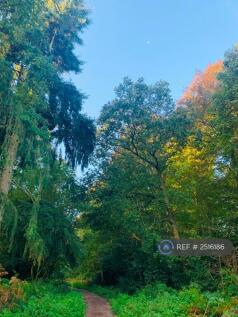 Hawley Woods