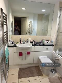 Large Bathroom 1