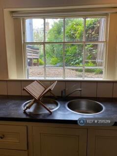 Garden View From Counter