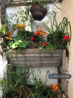 Patio Garden. Trug And Pots For Gardeners