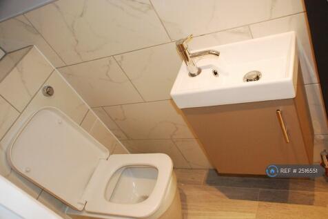 Downstairs Shower-Toilet Room