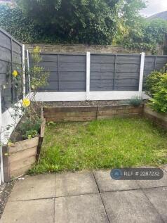 Back Garden