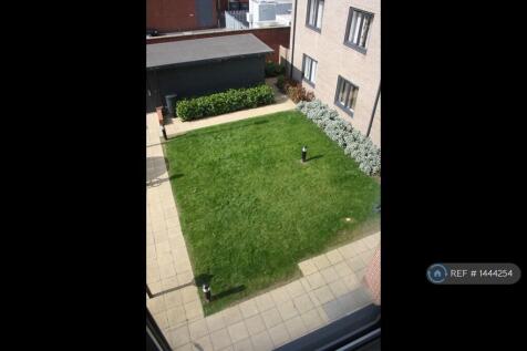 Sunny Shared Garden