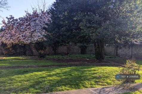 Communal Garden