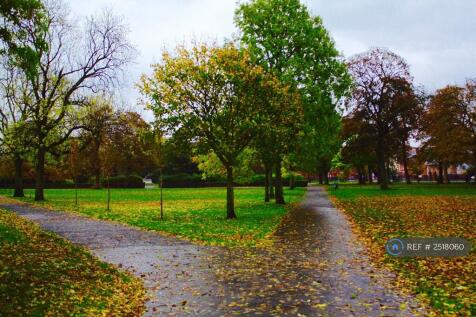 Elder Park Just Across The Road